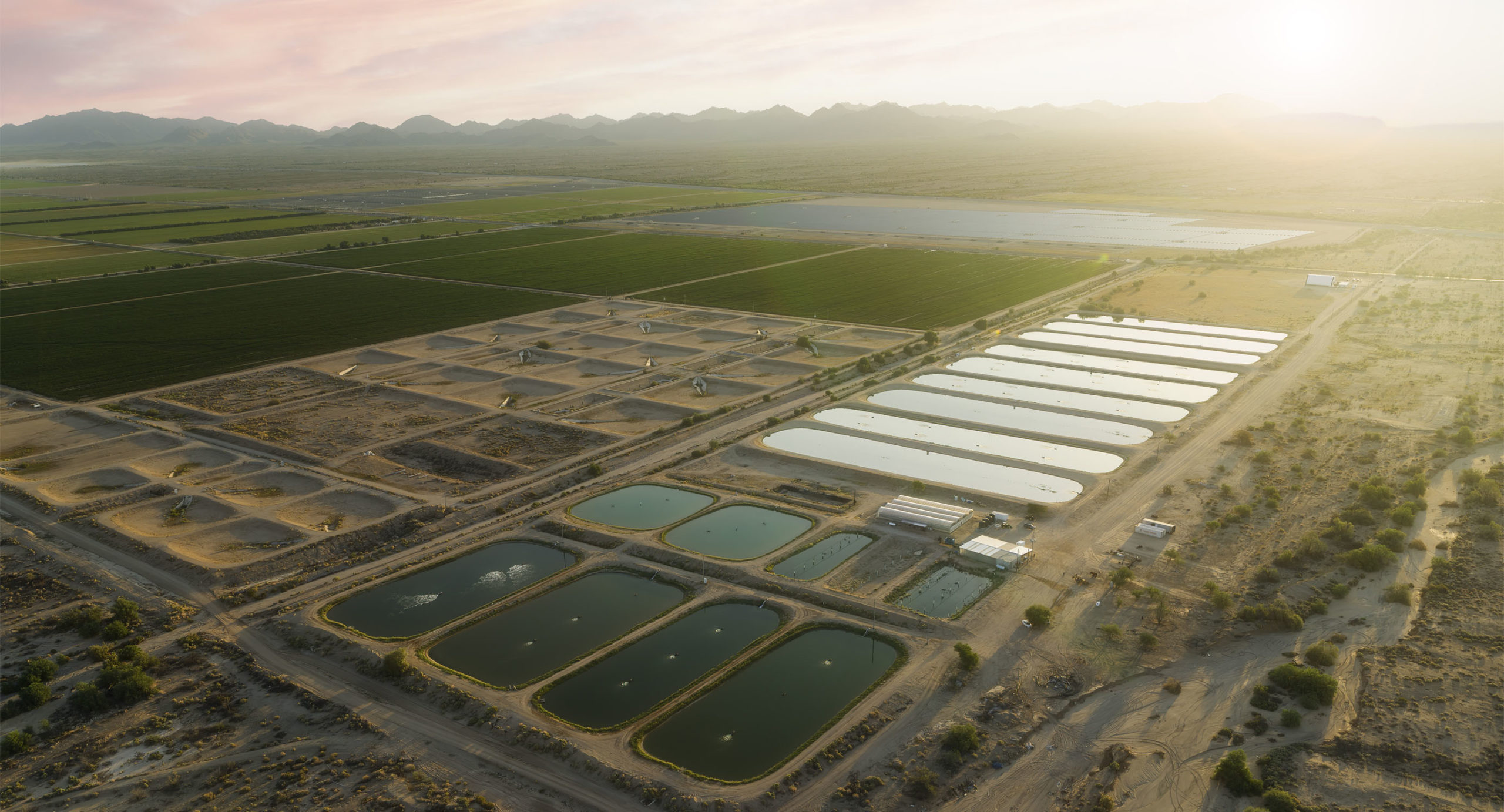Phoenix Commercial Photographer, Travis Neely, produces agriculture photography for farming industries such as this organic shrimp farm in Arizona.